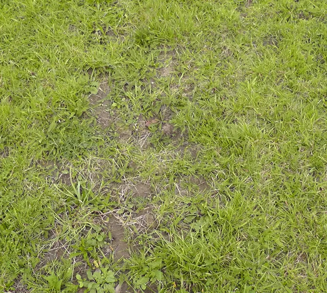 Gesloten zode? Beoordeel het aan de hand van de tabel.