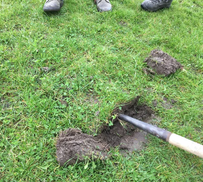 Stap 2 Plag onderzijde voorzichtig lossteken zonder de plag te wrikken of knikken.