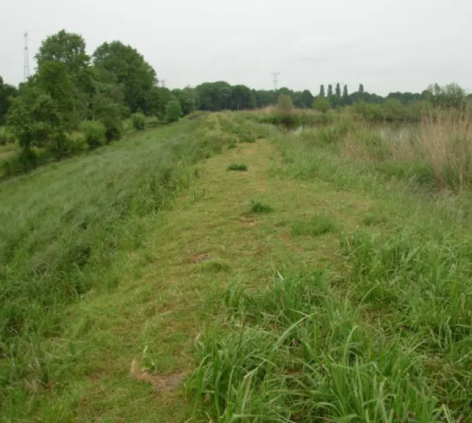Selectief graasgedrag (Digigids)