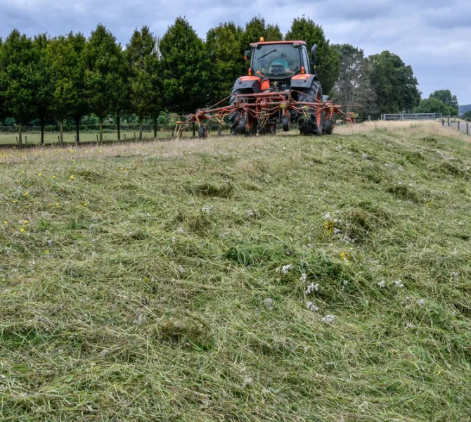 8 Schudden voor uitzakken van zaden