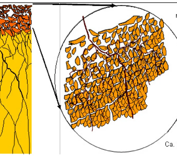 Bodemstructuur in stevige klei op een dijk met gras, met een detail van de toplaag met graswortels [RWS, 2012, fig. 3.2]