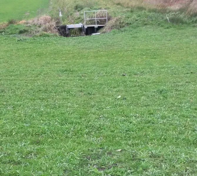 Hergebruik oude toplaag met veel kruiden