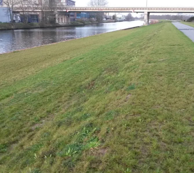 Nieuwe toplaag met gras kruiden en wisselend resultaat_2