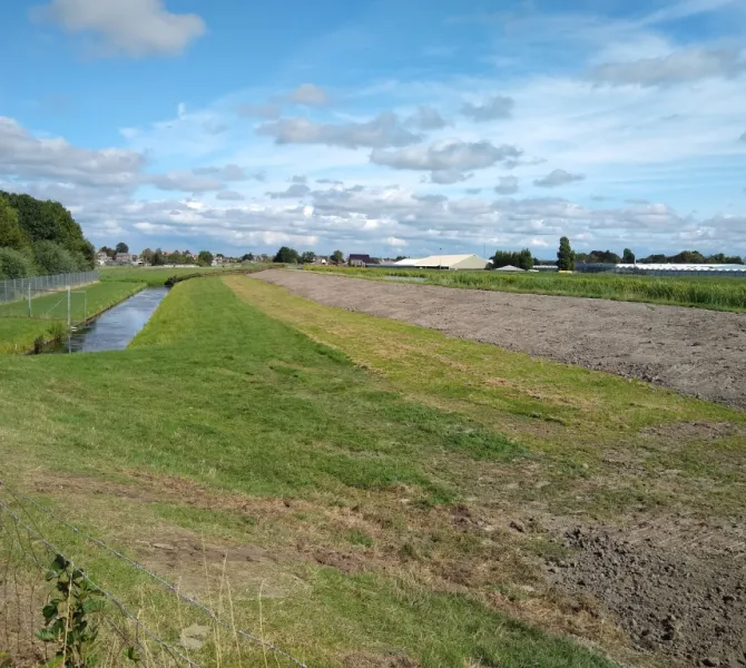 Kleikap tegen droogtescheuren (Rijnland)