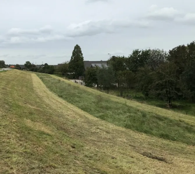 Maaien bermstrook laten staan voor de winter