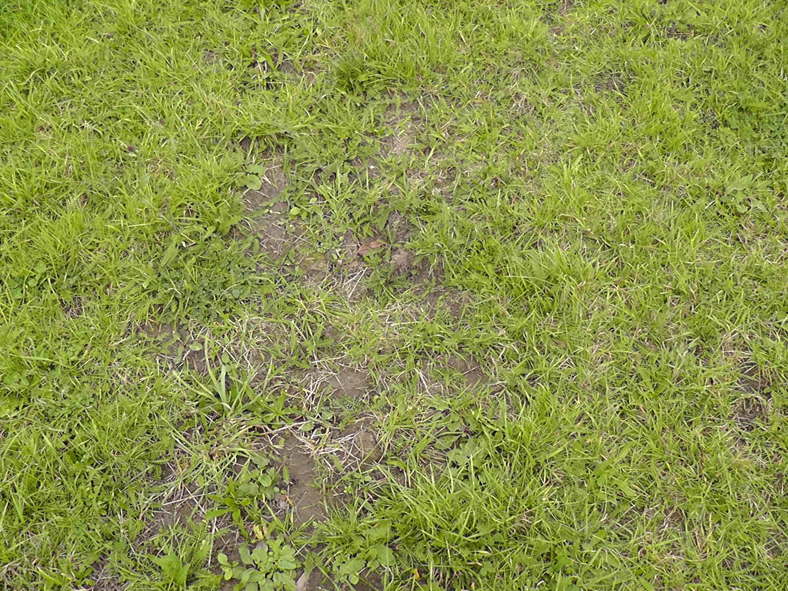 Gesloten zode? Beoordeel het aan de hand van de tabel.