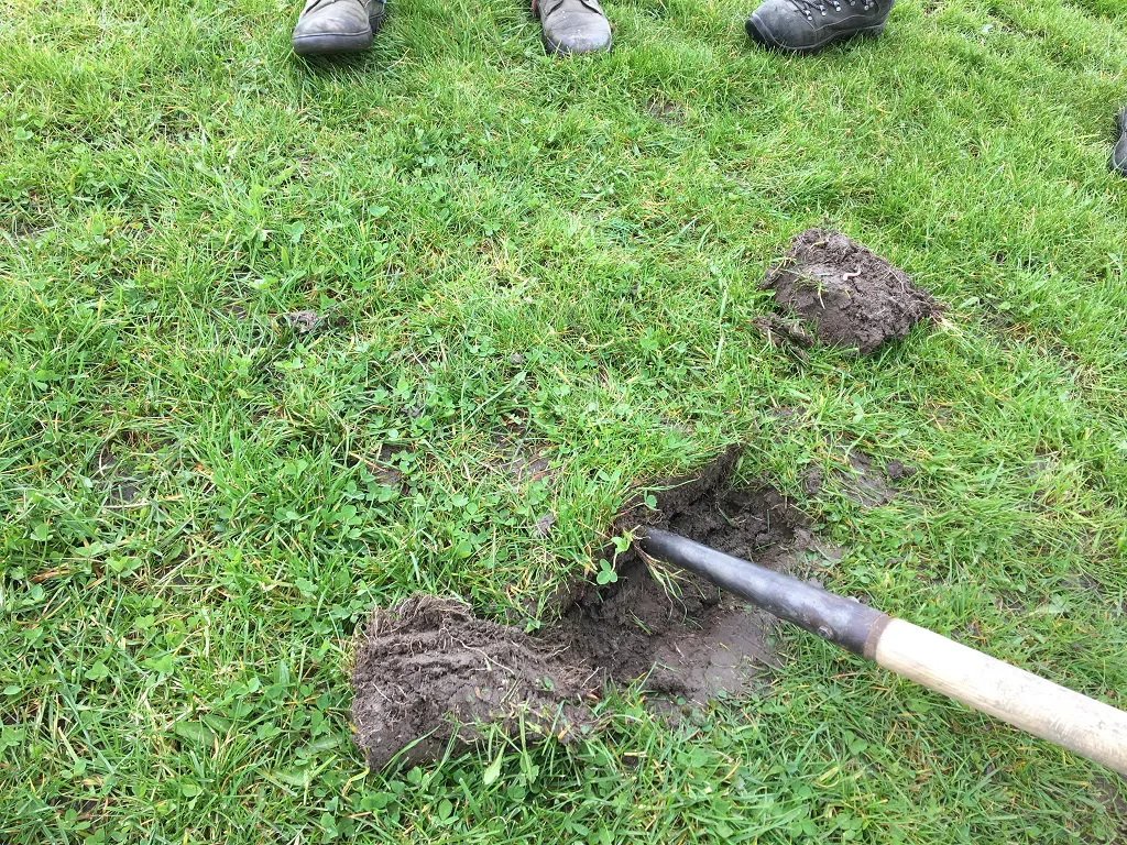 Stap 2 Plag onderzijde voorzichtig lossteken zonder de plag te wrikken of knikken.