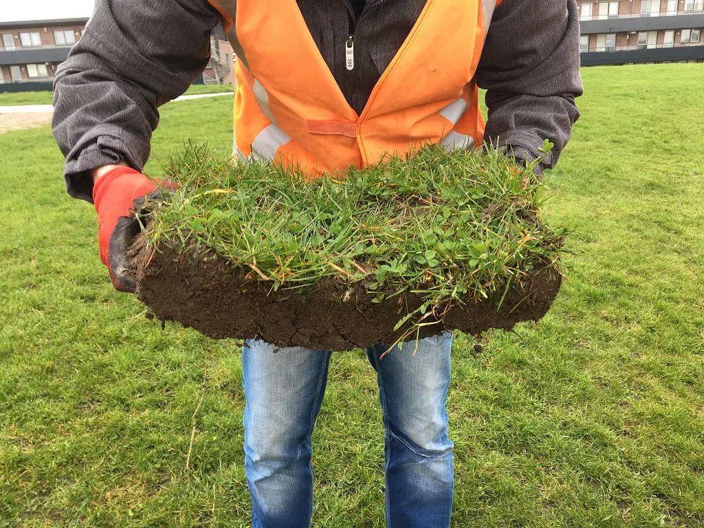 Stap 5 Plag opnemen met gras boven en samenhang beoordelen