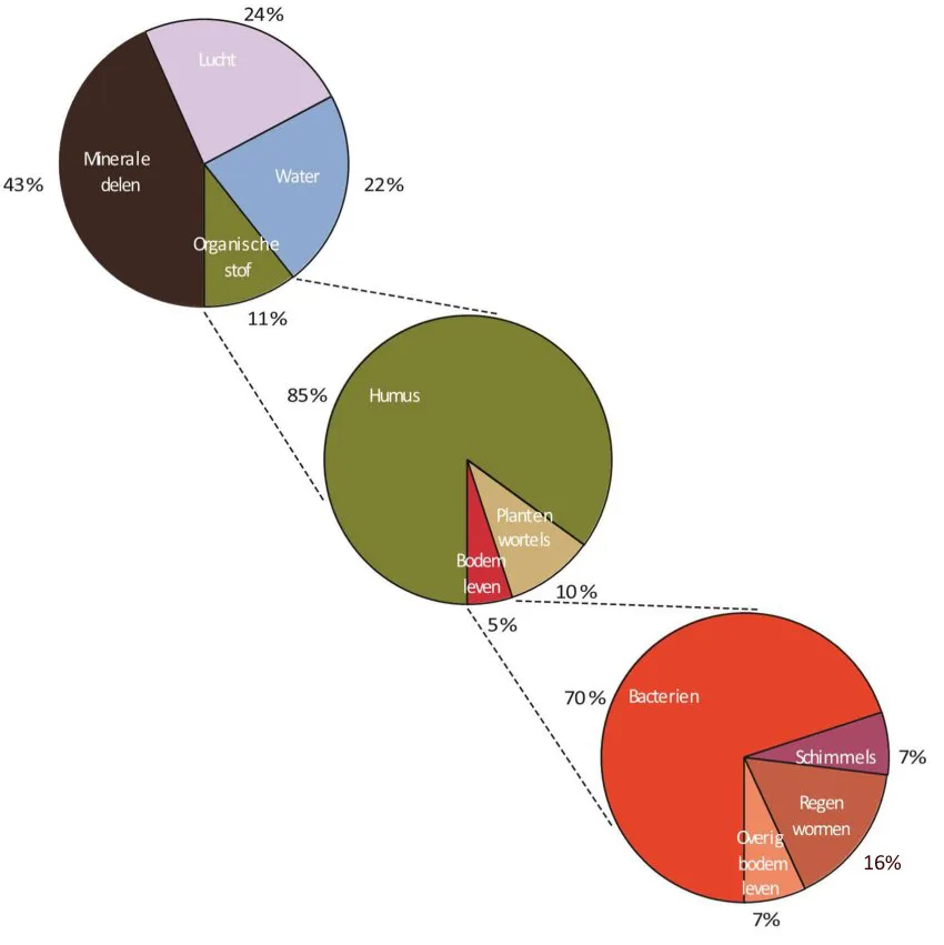 Bodemsamenstelling (Naar: Hendrix, 2000)