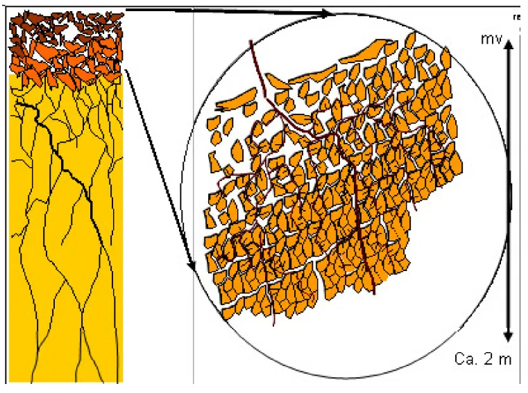 Bodemstructuur in stevige klei op een dijk met gras, met een detail van de toplaag met graswortels [RWS, 2012, fig. 3.2]