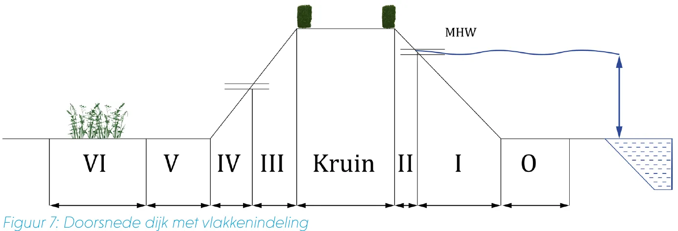 Doorsnede-dijk-met-vlakkenindeling