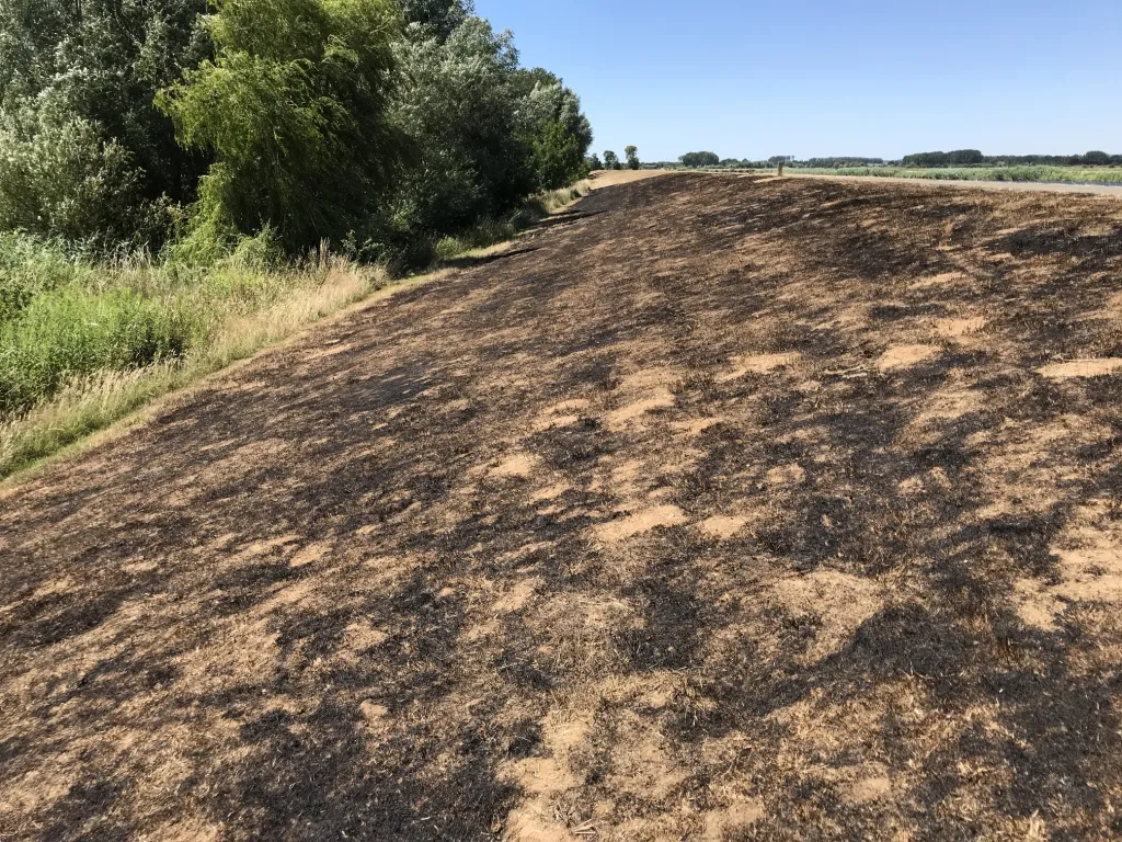 Brand dijktalud, overzicht (WRIJ)