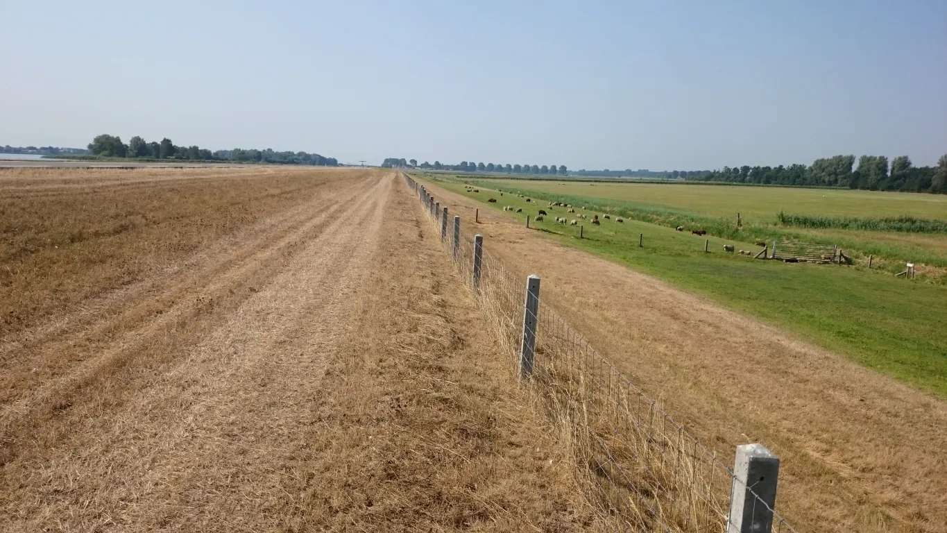 Droogte Drontermeerdijk (WZZ)