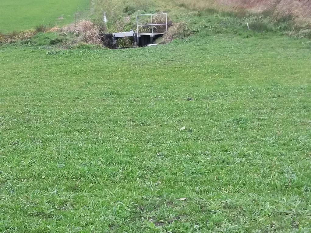 Hergebruik oude toplaag met veel kruiden