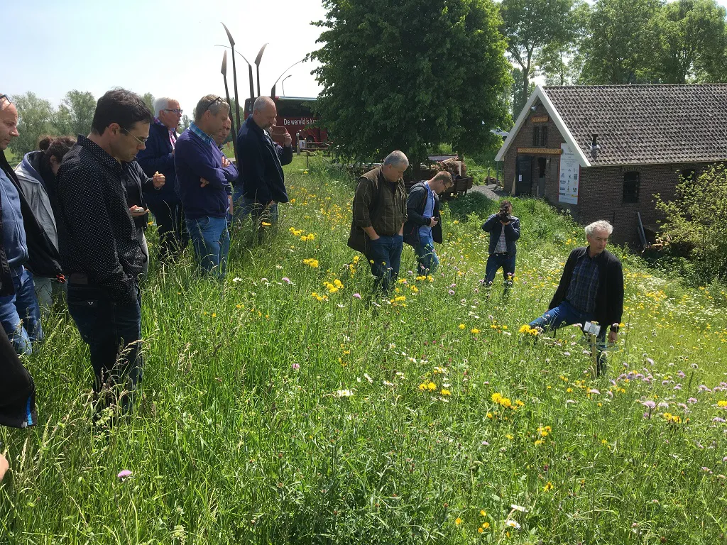 Excursie bloemrijke dijken.