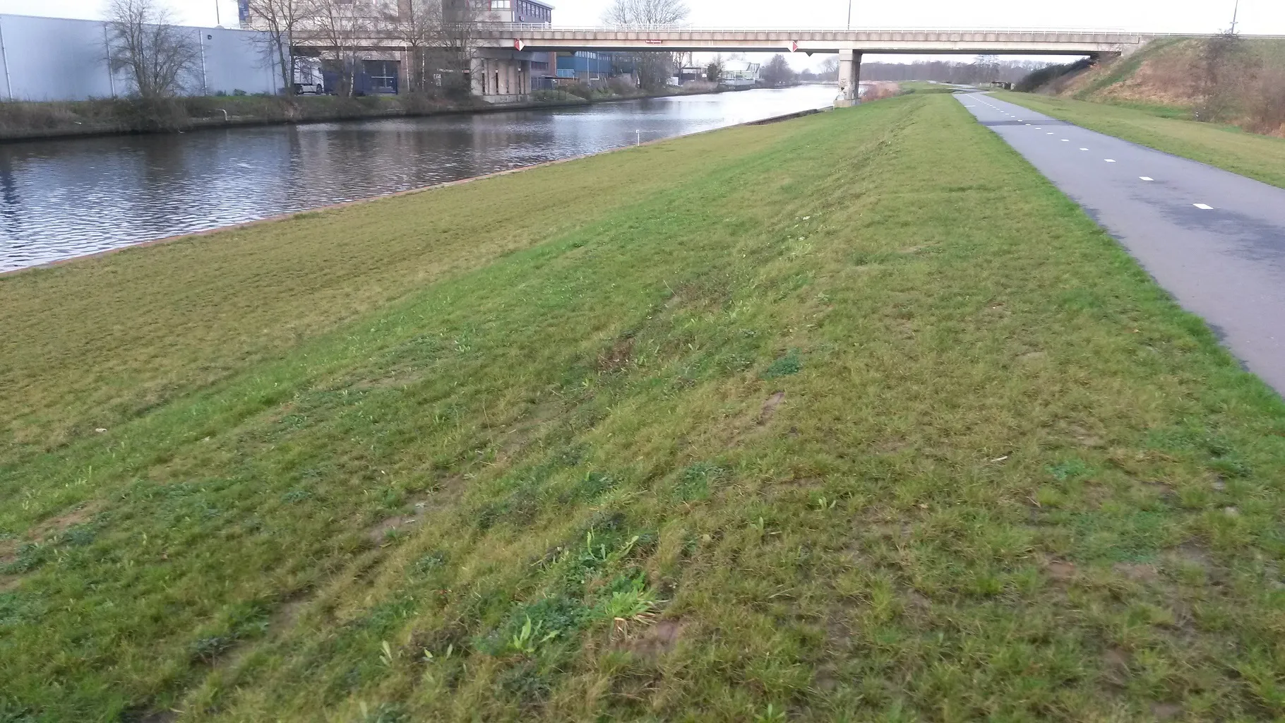 Nieuwe toplaag met gras kruiden en wisselend resultaat_2