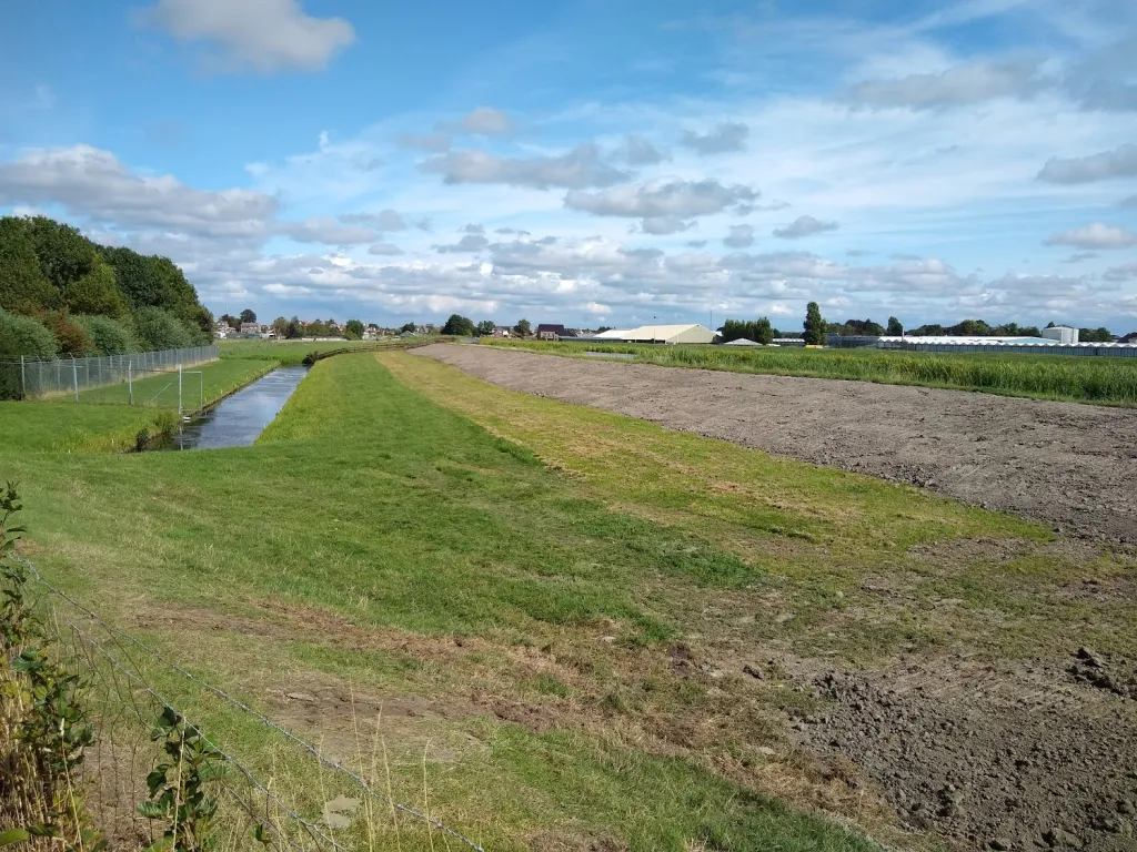 Kleikap tegen droogtescheuren (Rijnland)