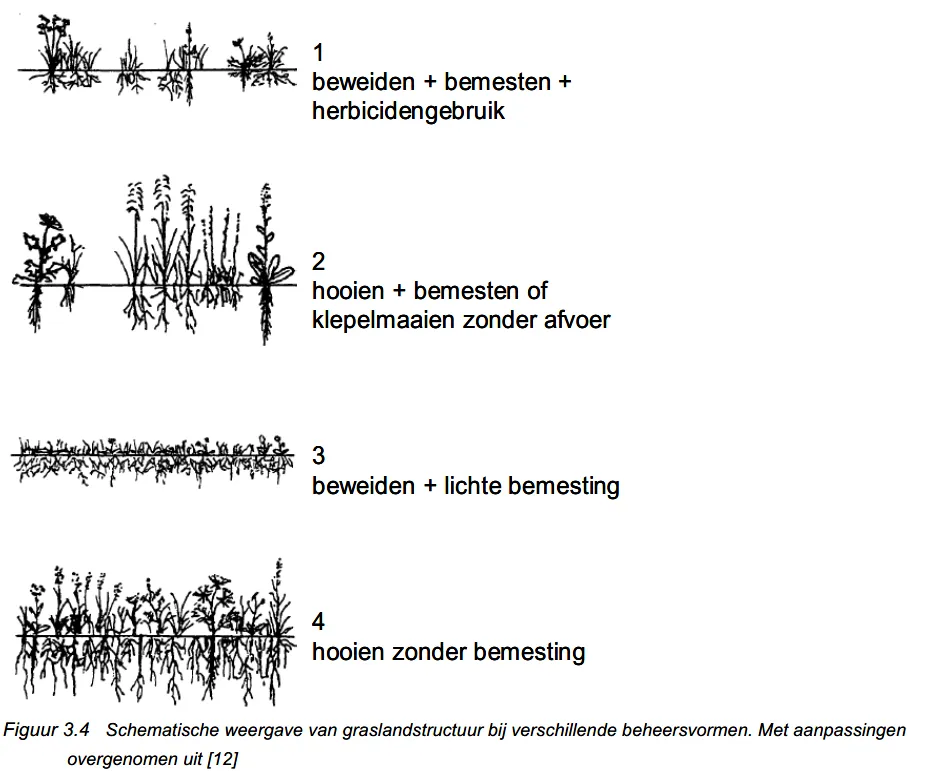 Schematische weergave van graslandstructuur bij verschillende beheervormen [RWS, 2012]