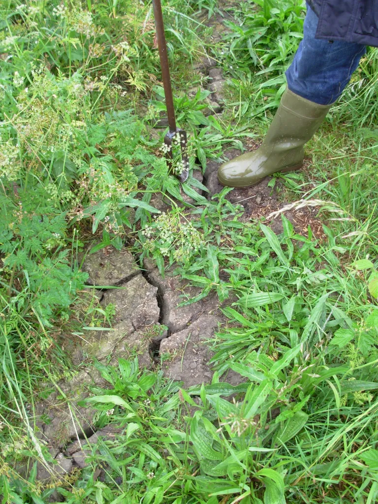 Scheur, beginnend droogte (Digigids)