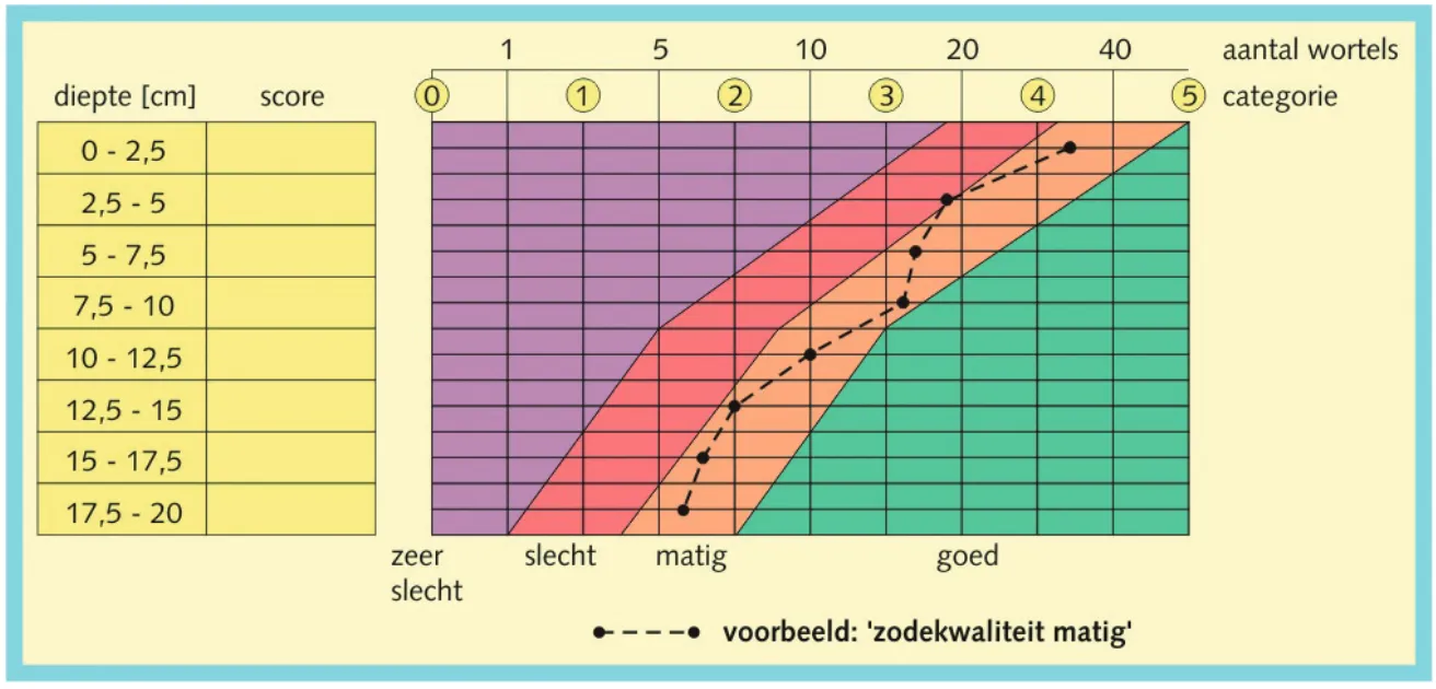 odenkwaliteit-als-functie-van-de-doorworteling