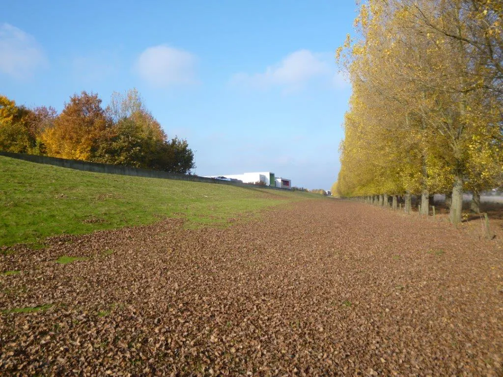 Bladafval en verstikking gras 1 (foto WL, Johan Janssen)