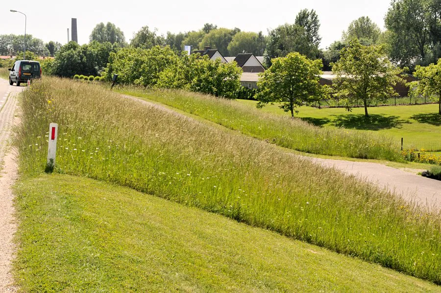 Overgang gazonbeheer naar 2x maaien en afvoeren (WSRL)