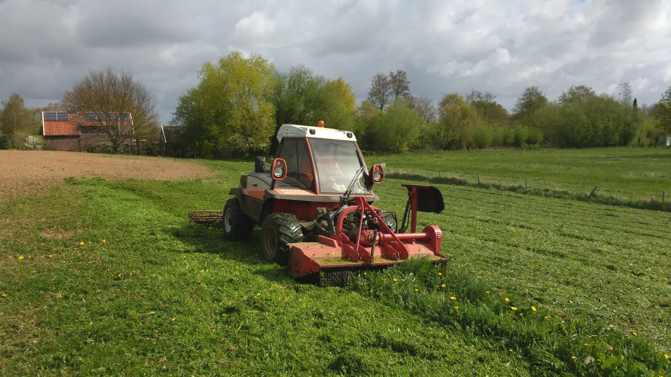 Klepelen en eggen jonge zode.