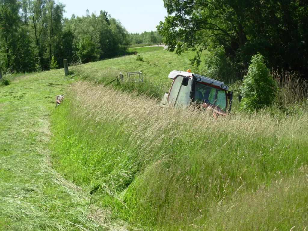 Hoog opgaand gewas met grasdominantie, verschralen door maaien