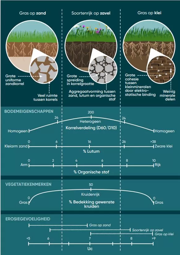 Schematische weergave gras op zand_zavel_klei (bron Future Dikes projectrapport fase 1)