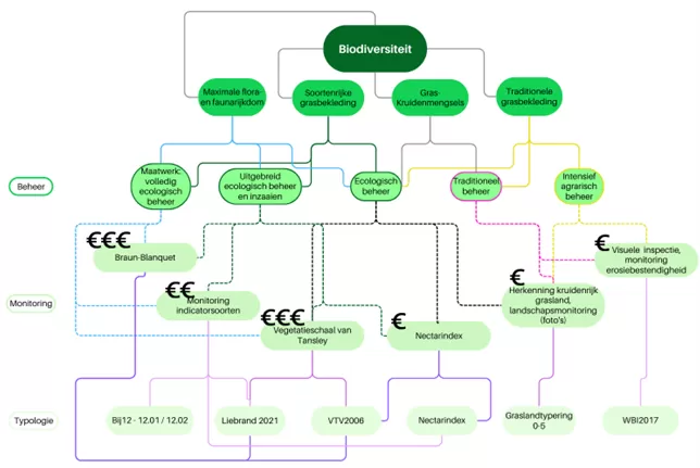 Keuzeschema biodiversiteit, beheer en monitoring [Beemsterboer, 2024]
